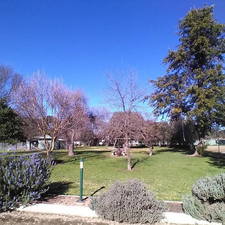 Allonville Gardens Motel Wagga Wagga Dış mekan fotoğraf