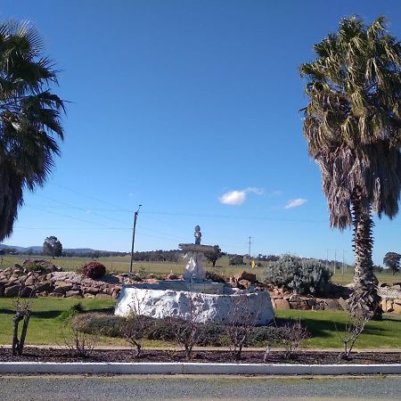 Allonville Gardens Motel Wagga Wagga Dış mekan fotoğraf