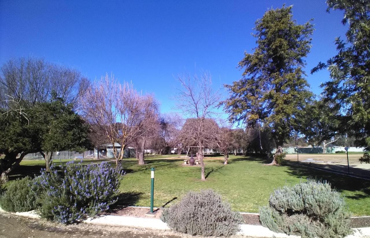 Allonville Gardens Motel Wagga Wagga Dış mekan fotoğraf