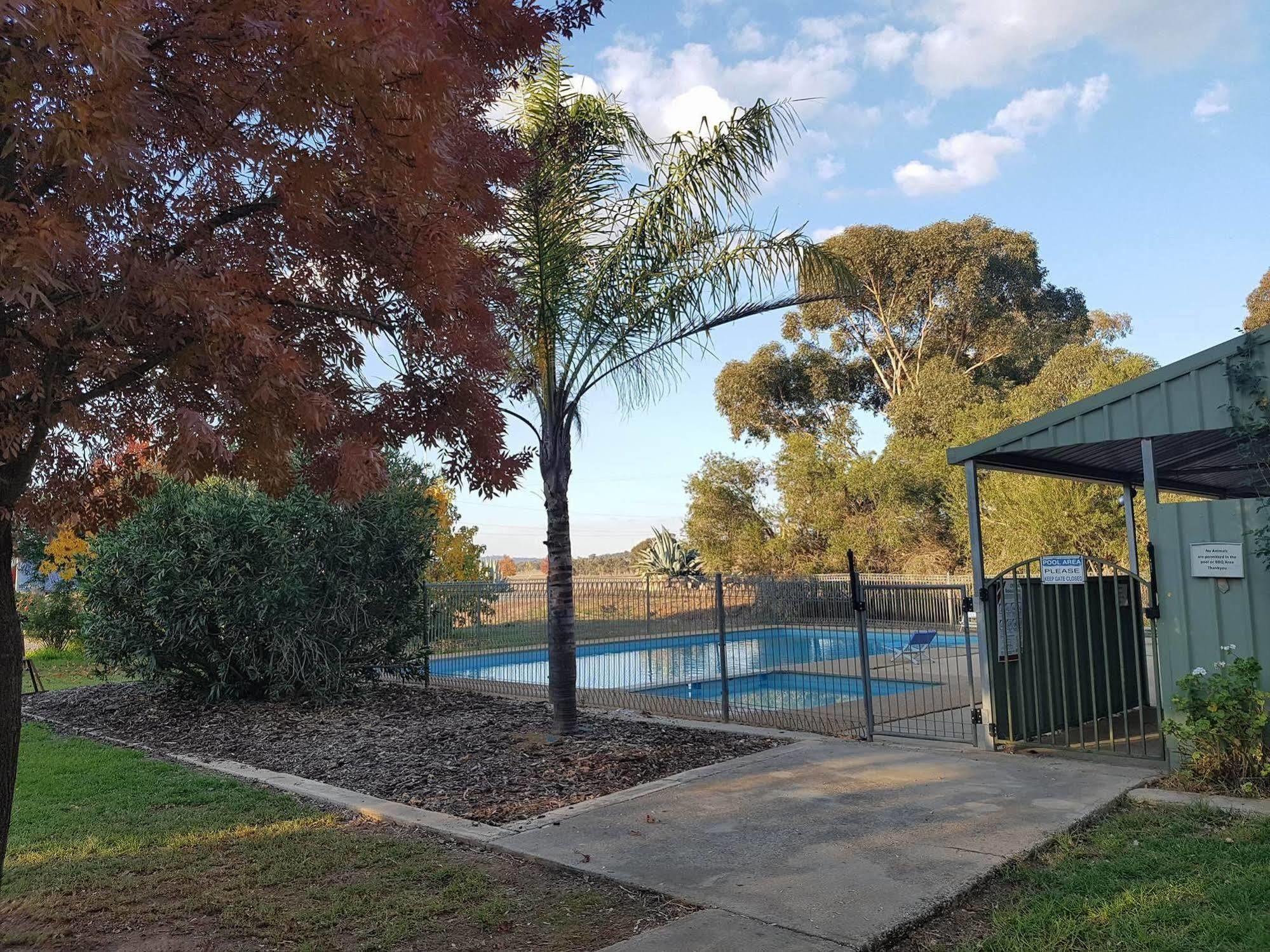 Allonville Gardens Motel Wagga Wagga Dış mekan fotoğraf